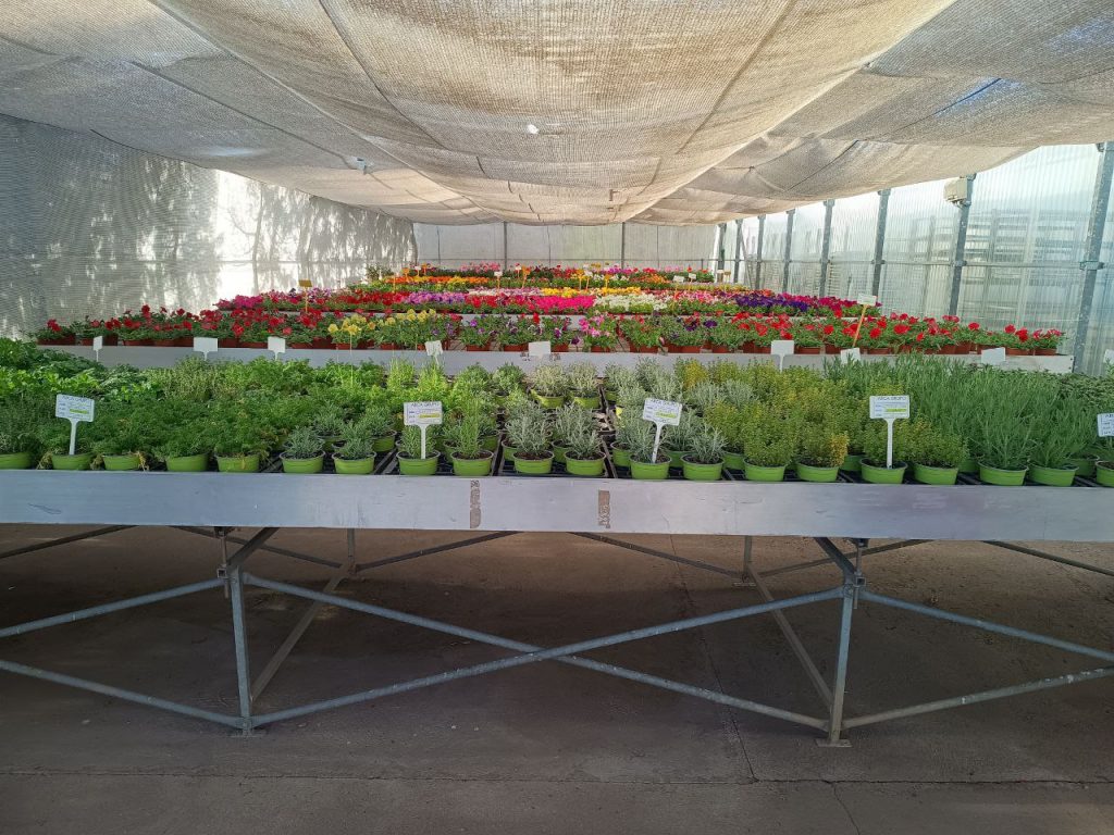 viveros de plantas en estados unidos